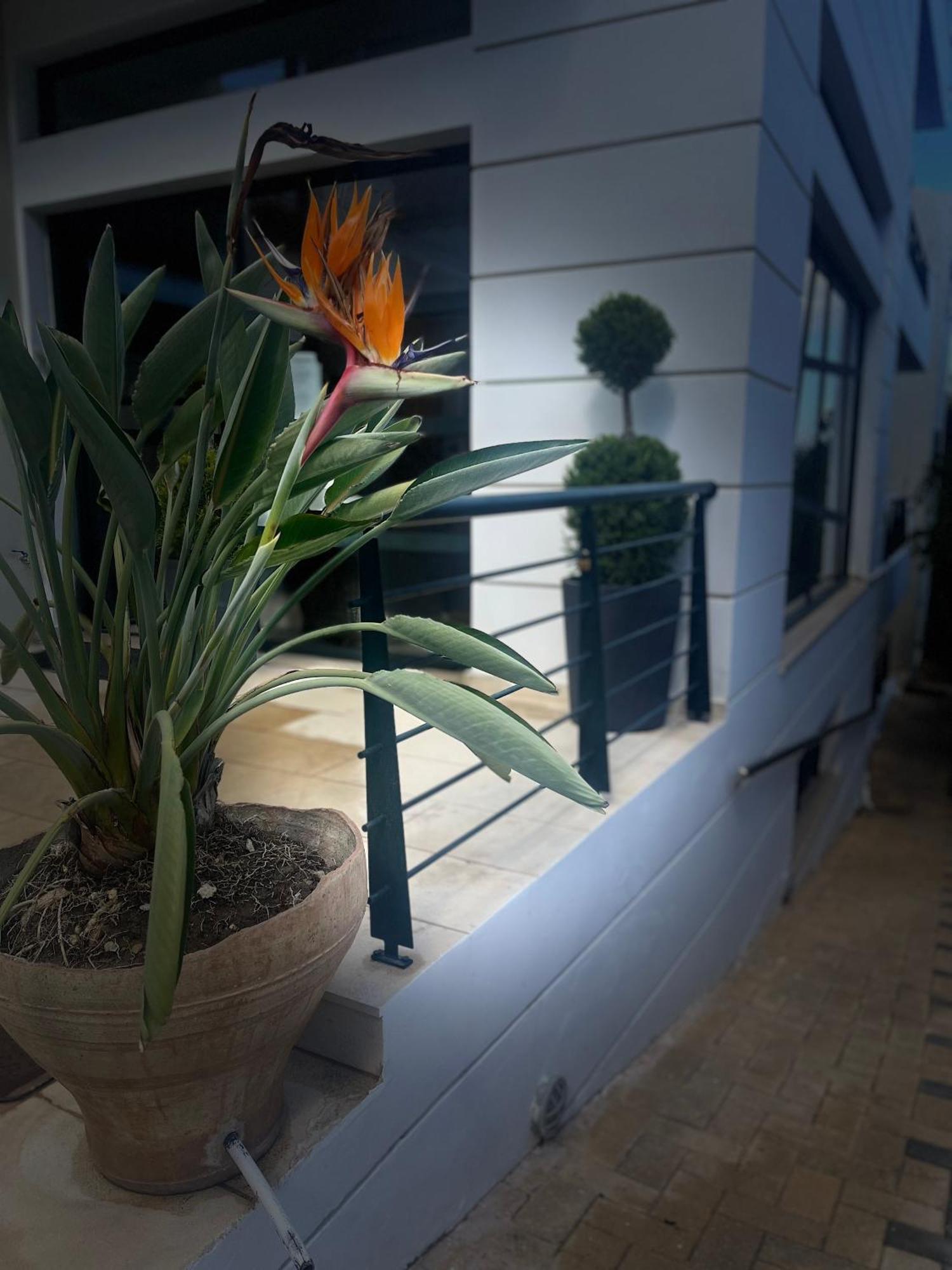 Myrthe Apartments Mírtos Ngoại thất bức ảnh
